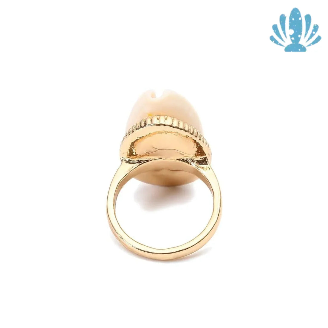 Conch shell ring