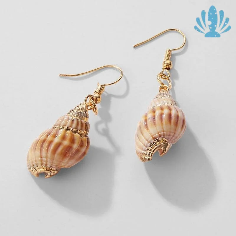 Sea shell earrings