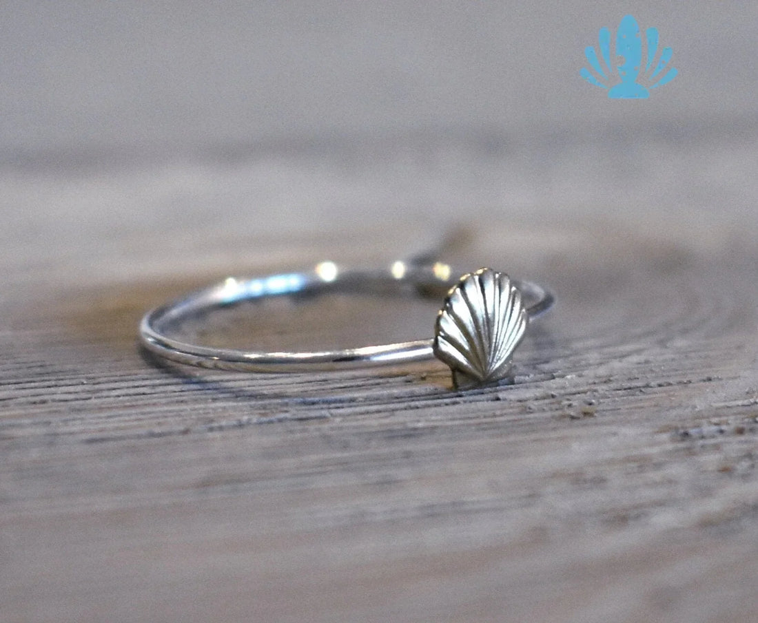 Sunrise shell ring